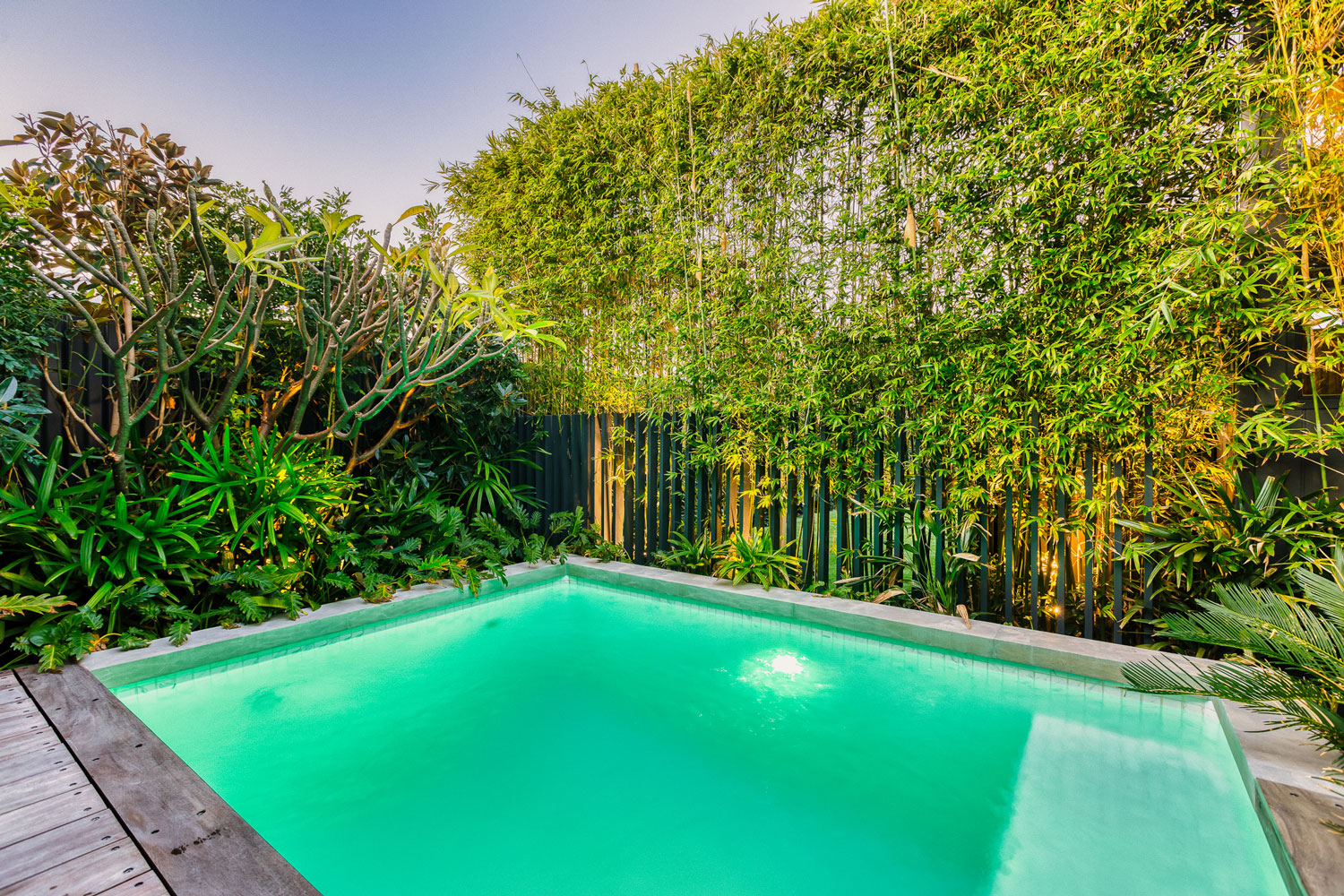 De-Vries-Yokine-Twilight-9