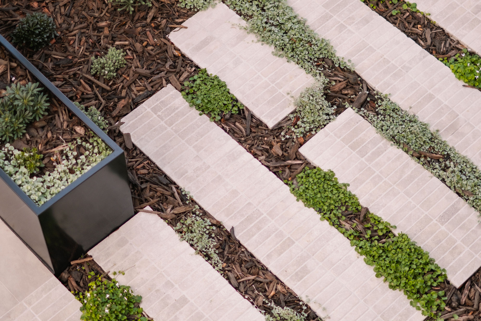 GreenvilleSt-Swanbourne-highres-27