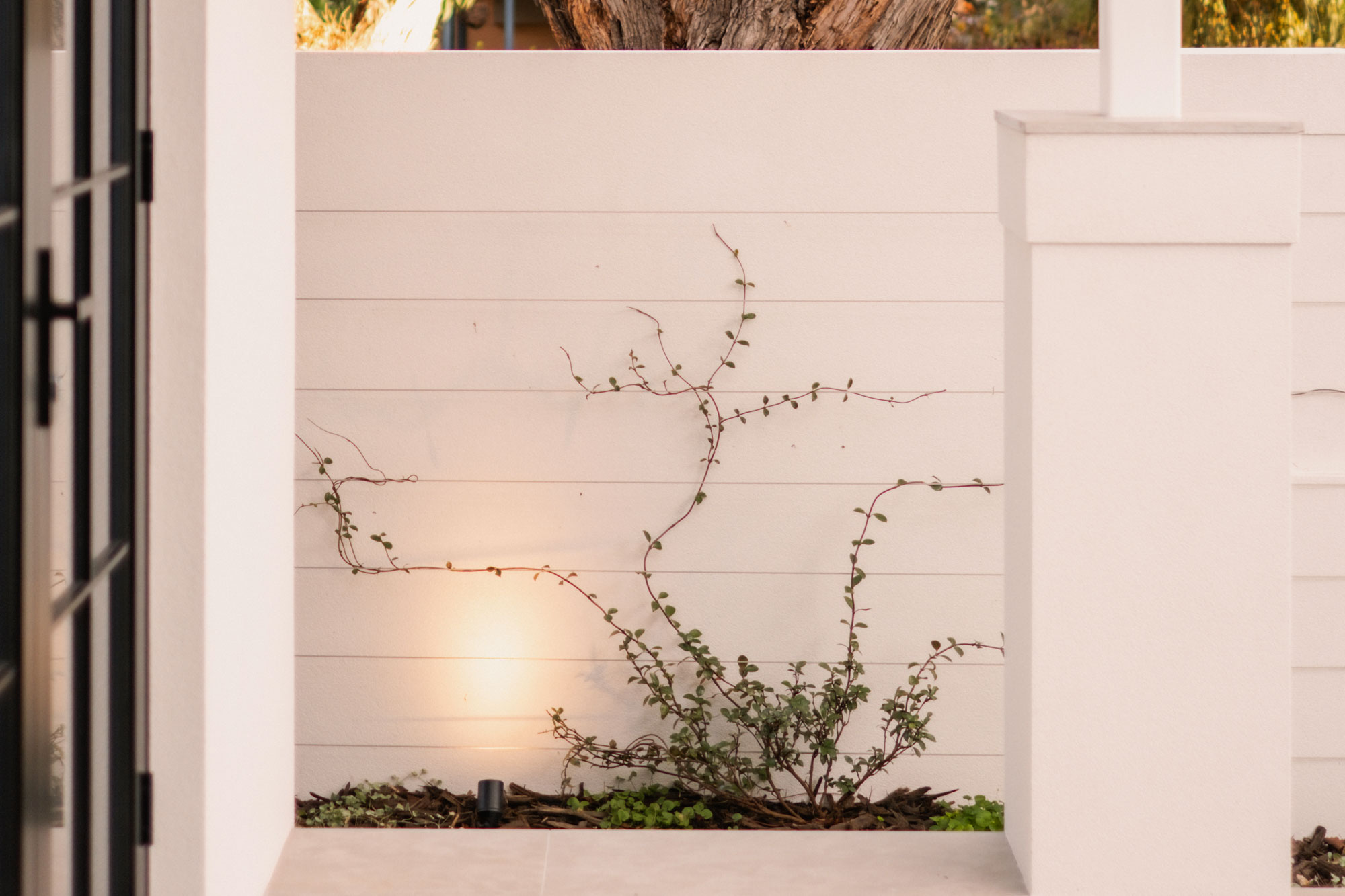 GreenvilleSt-Swanbourne-highres-32