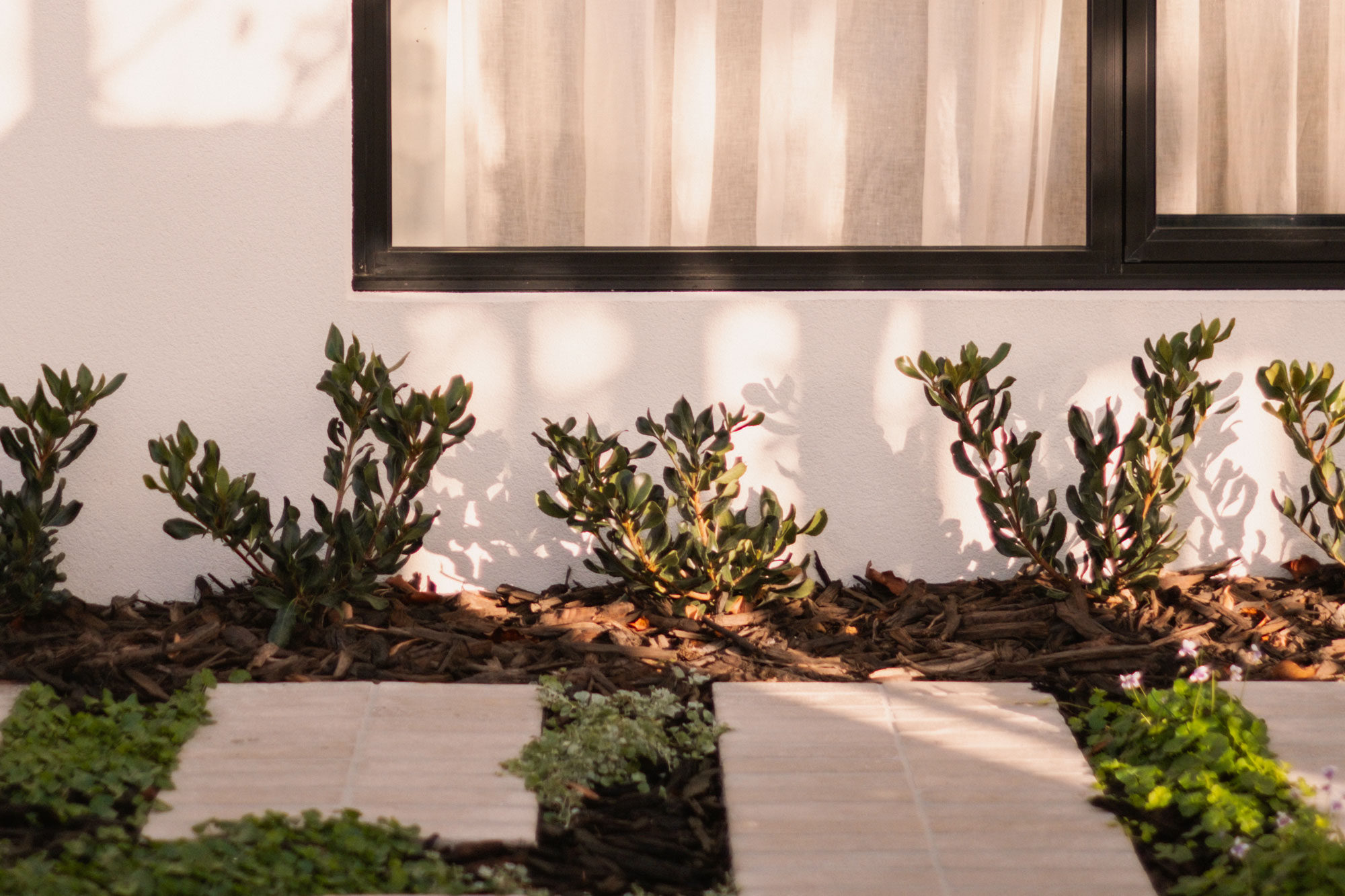 GreenvilleSt-Swanbourne-highres-43